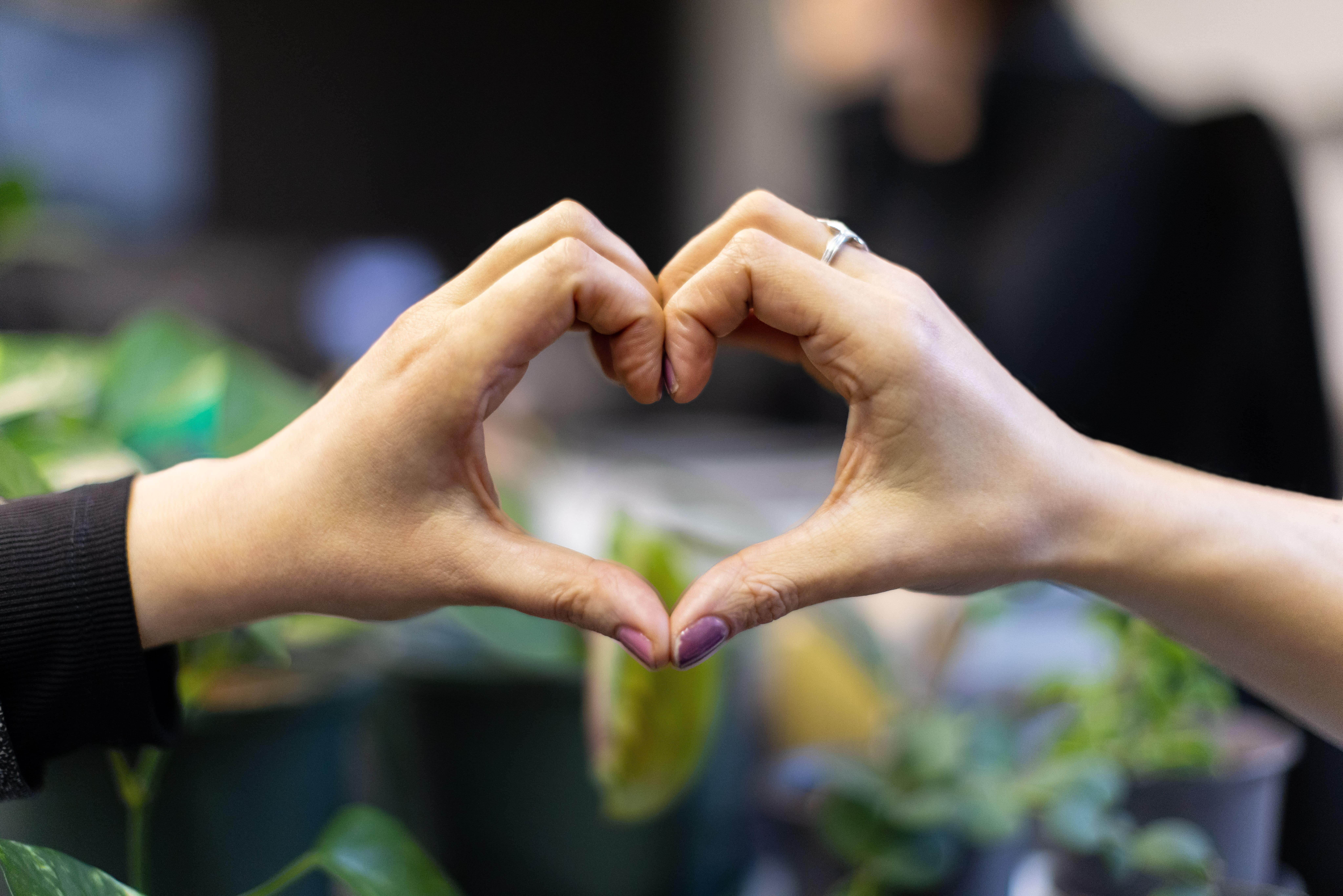 Safehands heart hands-min (1)